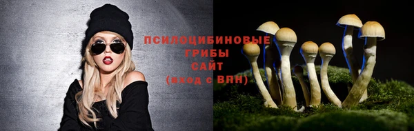 spice Бородино