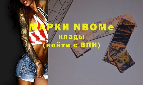 spice Бородино